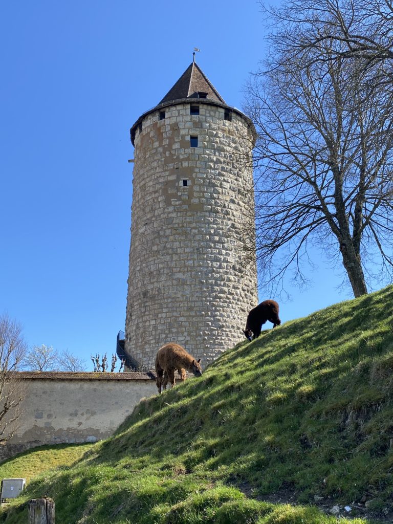 Sortie au Château de Porrentruy